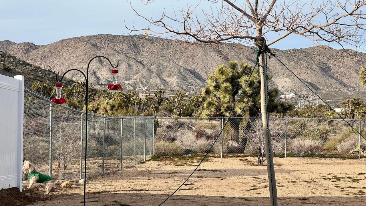 Peaceful Home With Nature Views & Trail Access Yucca Valley Luaran gambar