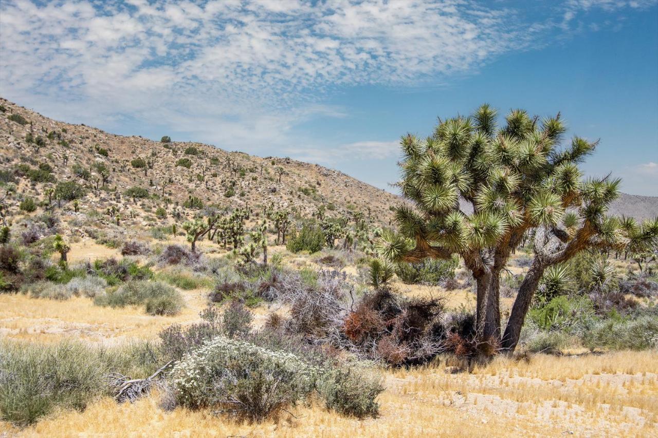 Peaceful Home With Nature Views & Trail Access Yucca Valley Luaran gambar