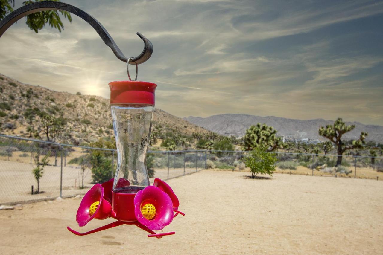 Peaceful Home With Nature Views & Trail Access Yucca Valley Luaran gambar
