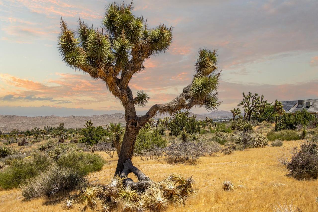 Peaceful Home With Nature Views & Trail Access Yucca Valley Luaran gambar